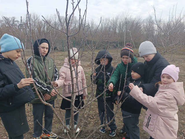 Весенняя экскурсия начальных классов